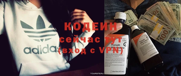 хмурый Арсеньев