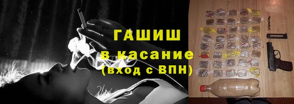 хмурый Арсеньев