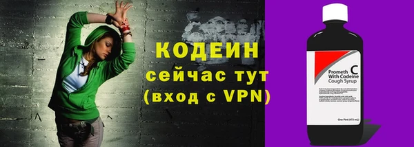 хмурый Арсеньев
