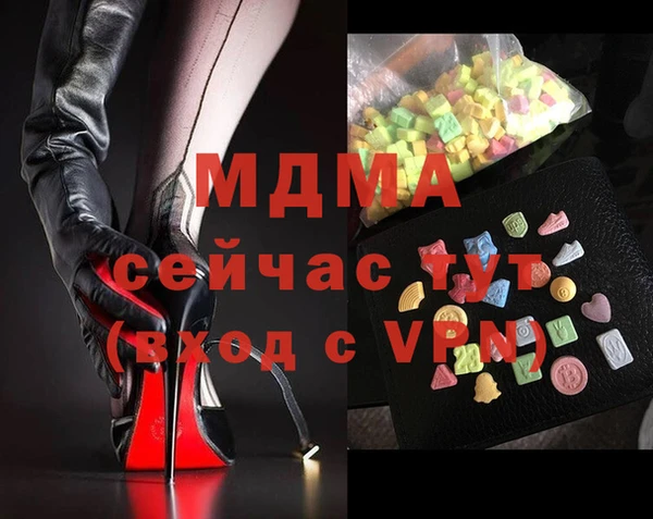 хмурый Арсеньев