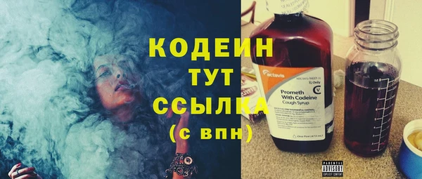 хмурый Арсеньев