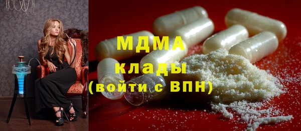 хмурый Арсеньев