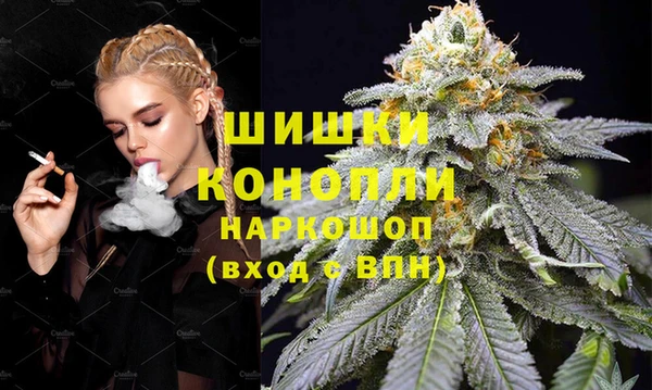 хмурый Арсеньев